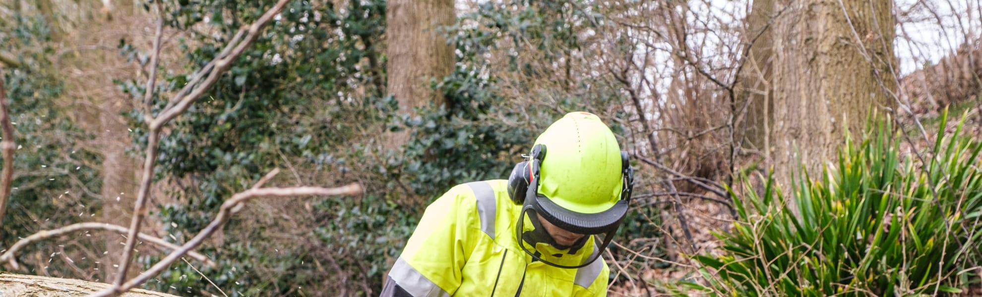 werken als European Tree Worker (ETW) IJsselvecht bij ROVA